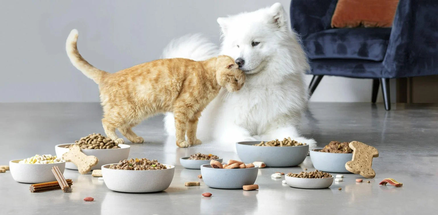 Pets Products